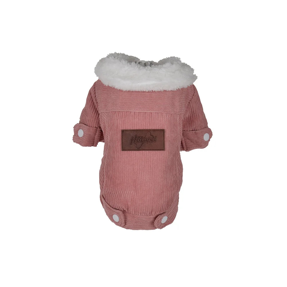 Windproof Pet Cat Clothes for Small Medium Cats Dogs Autumn Winter Cozy Thicken Fleece Kitten Striped Costume Chihuahua Outfits