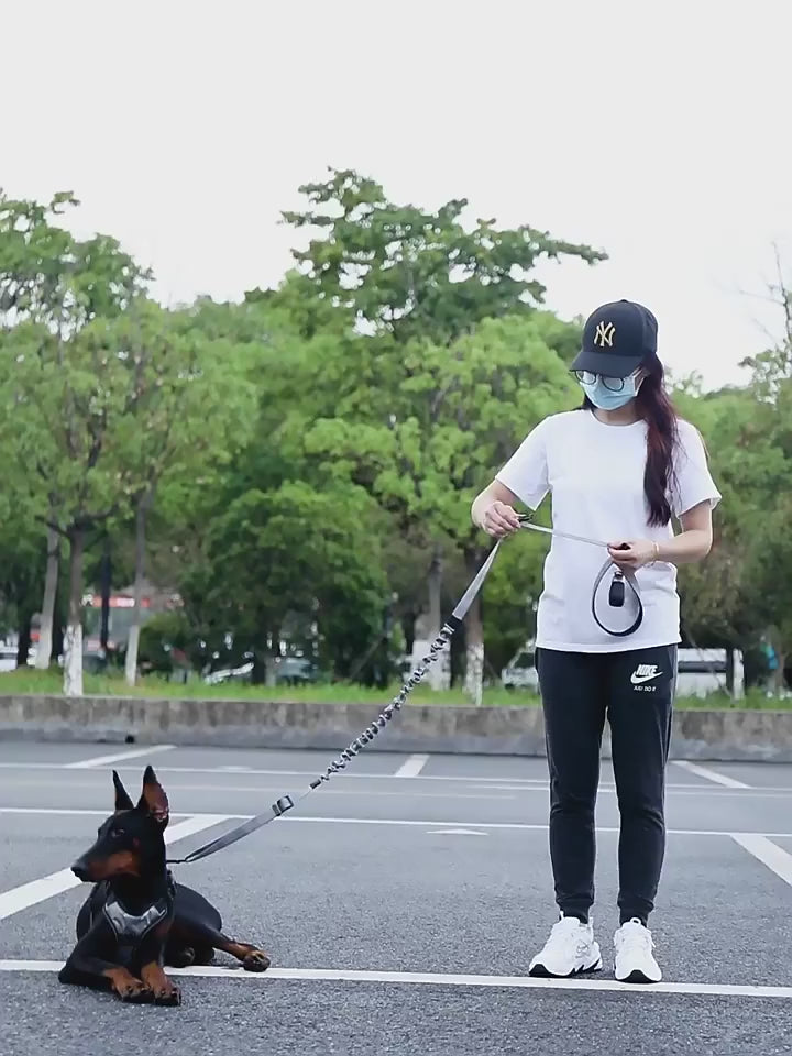 Hand Free Dog Leash for Pet Walking Running Jogging Adjustable Dog leash Waist Belt Chest Strap Traction Rope Dog Accessories